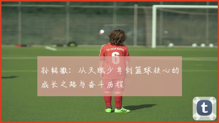 孙铭徽：从天赋少年到篮球核心的成长之路与奋斗历程