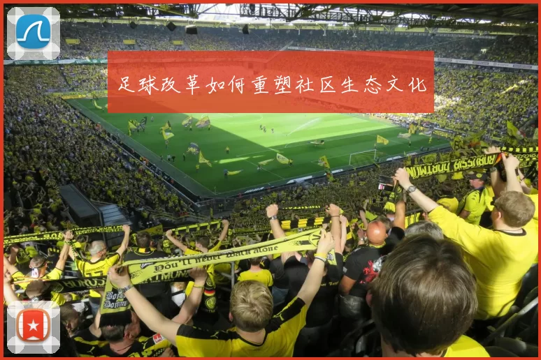 足球改革如何重塑社区生态文化