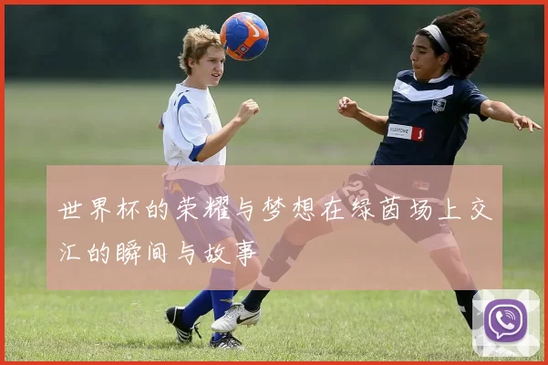 世界杯的荣耀与梦想在绿茵场上交汇的瞬间与故事