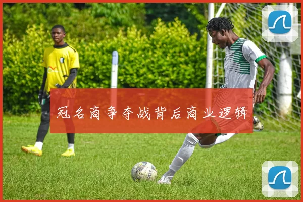 冠名商争夺战背后商业逻辑