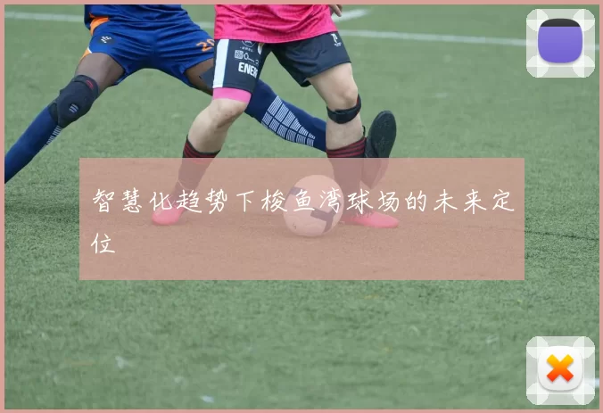 智慧化趋势下梭鱼湾球场的未来定位