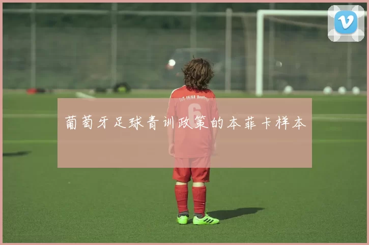 葡萄牙足球青训政策的本菲卡样本